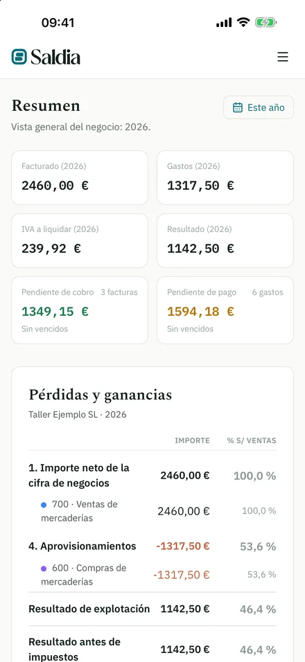 Saldia en el móvil: resumen del negocio